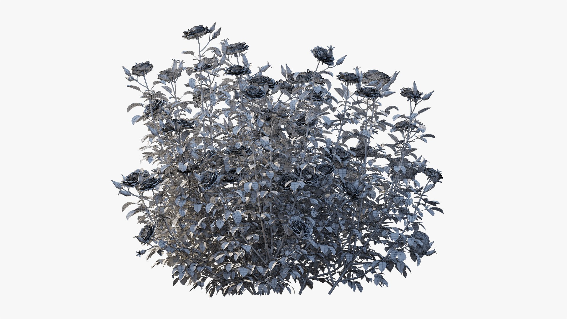 rose plant 3D https://p.turbosquid.com/ts-thumb/HR/1U22wo/IiOVlgyY/11/jpg/1603631002/1920x1080/fit_q87/3d32d0b789bef8d18fc07d23888d809362812d96/11.jpg