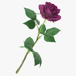 obj rose modeled leaf