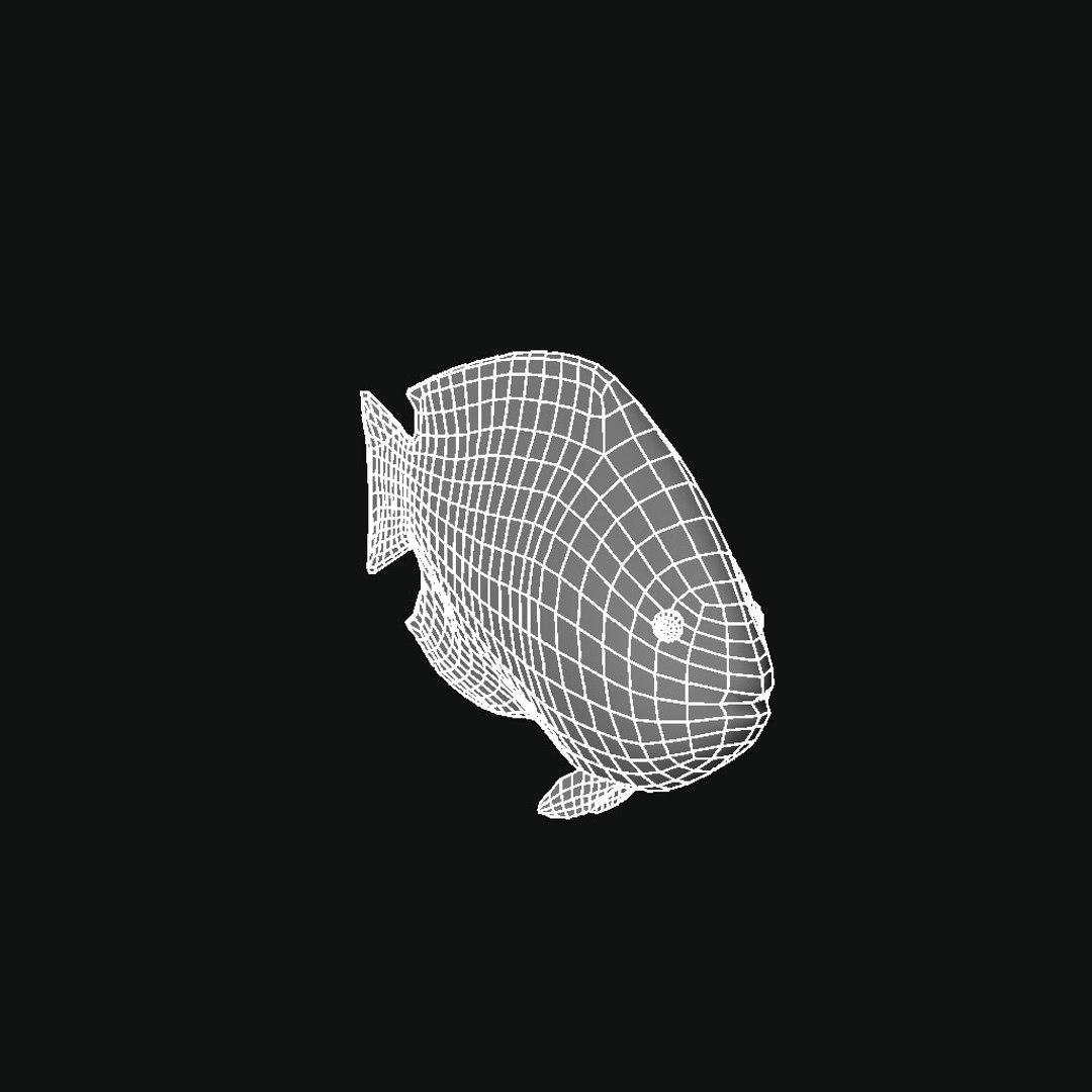 Ocean Fish Model - TurboSquid 1244914