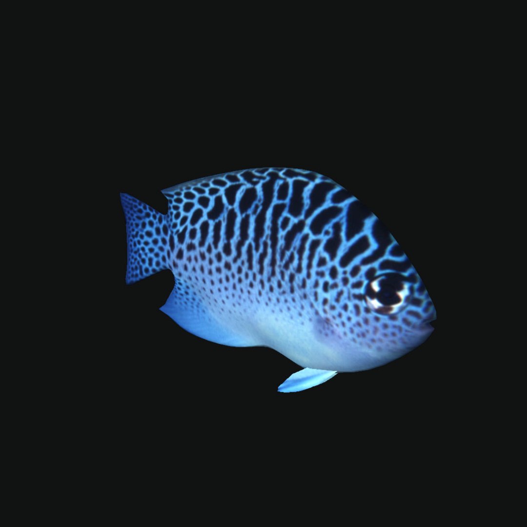 Ocean Fish Model - TurboSquid 1244914