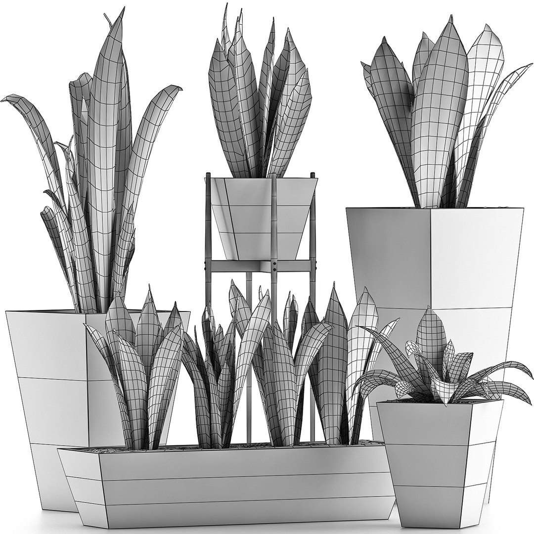 exotic plants trees model https://p.turbosquid.com/ts-thumb/HR/BWg81m/NvmqEe0A/05/jpg/1600620208/1920x1080/fit_q87/883944ce3d9434ec6e2ae2b6610ba1545ce5be37/05.jpg