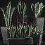 Collection de plantes 29