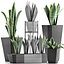 Collection de plantes 29