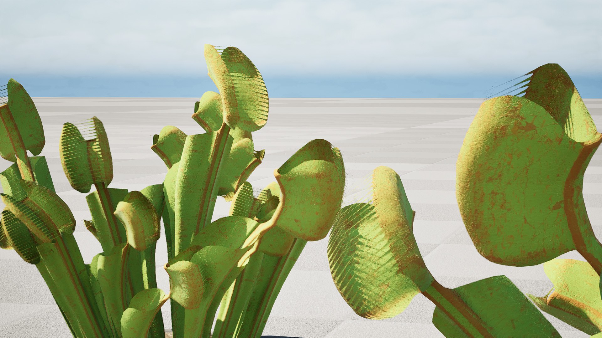 3D Realistic Venus Fly Trap model https://p.turbosquid.com/ts-thumb/HR/D6ECp0/3J/highresscreenshot00003/jpg/1730145491/1920x1080/fit_q87/97520d8c74c21dd3bb2f50e75a1621d876d4c0b7/highresscreenshot00003.jpg