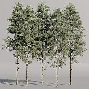 3D Pine trees collection vol 234-Blender-3dmodel model