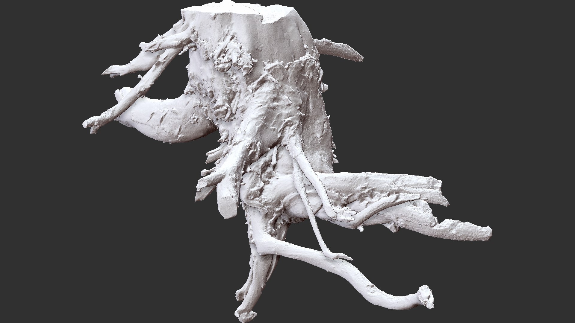 3D Model Scan Of Tree Root In Highpoly - TurboSquid 2149496