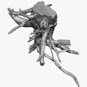 3D model scan of tree root in highpoly