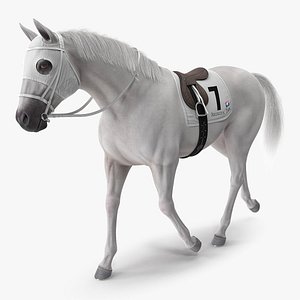 3D white racehorse gait pose