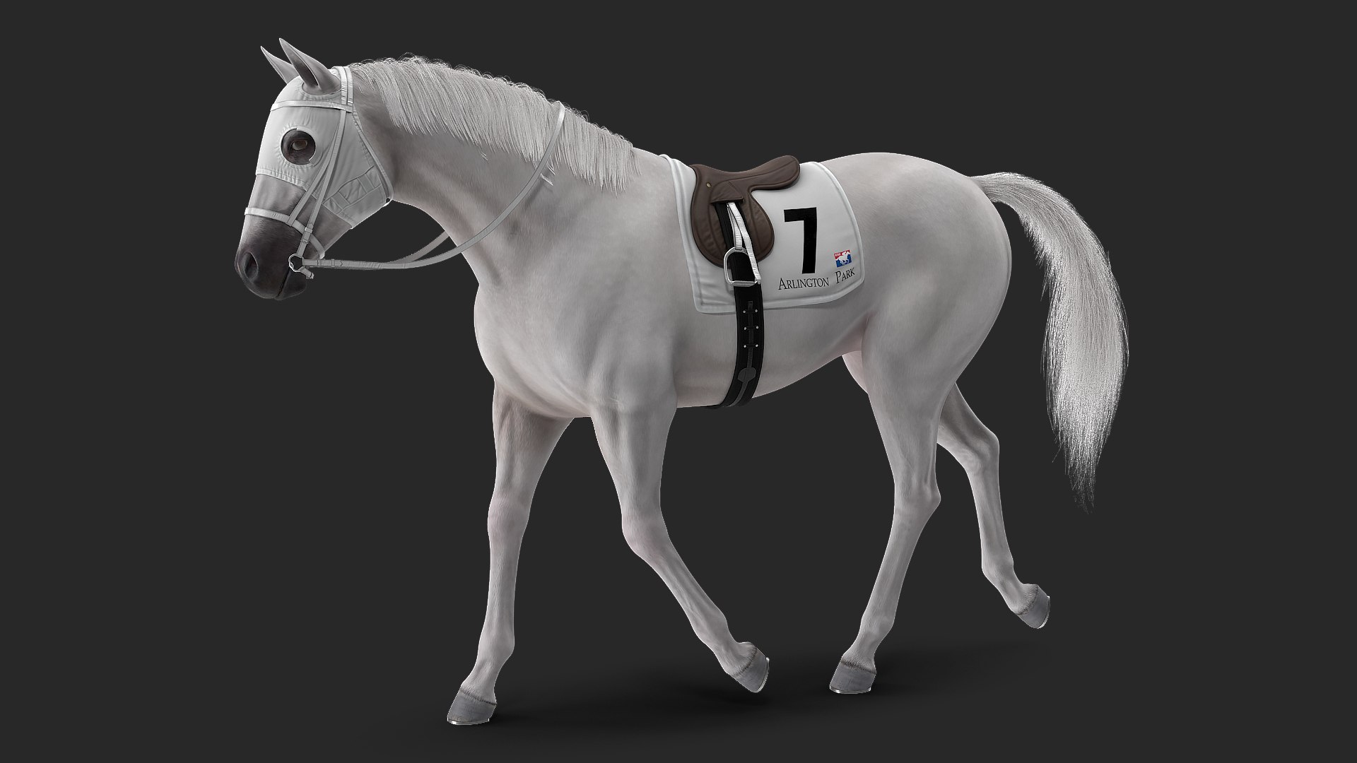 White Racehorse Gait Pose Fur 3D model preview
