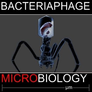 bacteriaphage