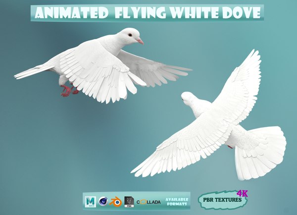 modelo 3d realistc White Dove- LOOP FLIGHT animation Low-poly 3D model ...