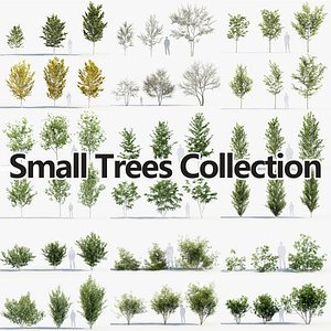 Package 08  Small Trees Collection 3D