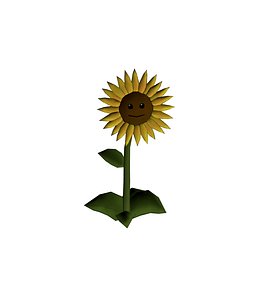 Sun Flower
