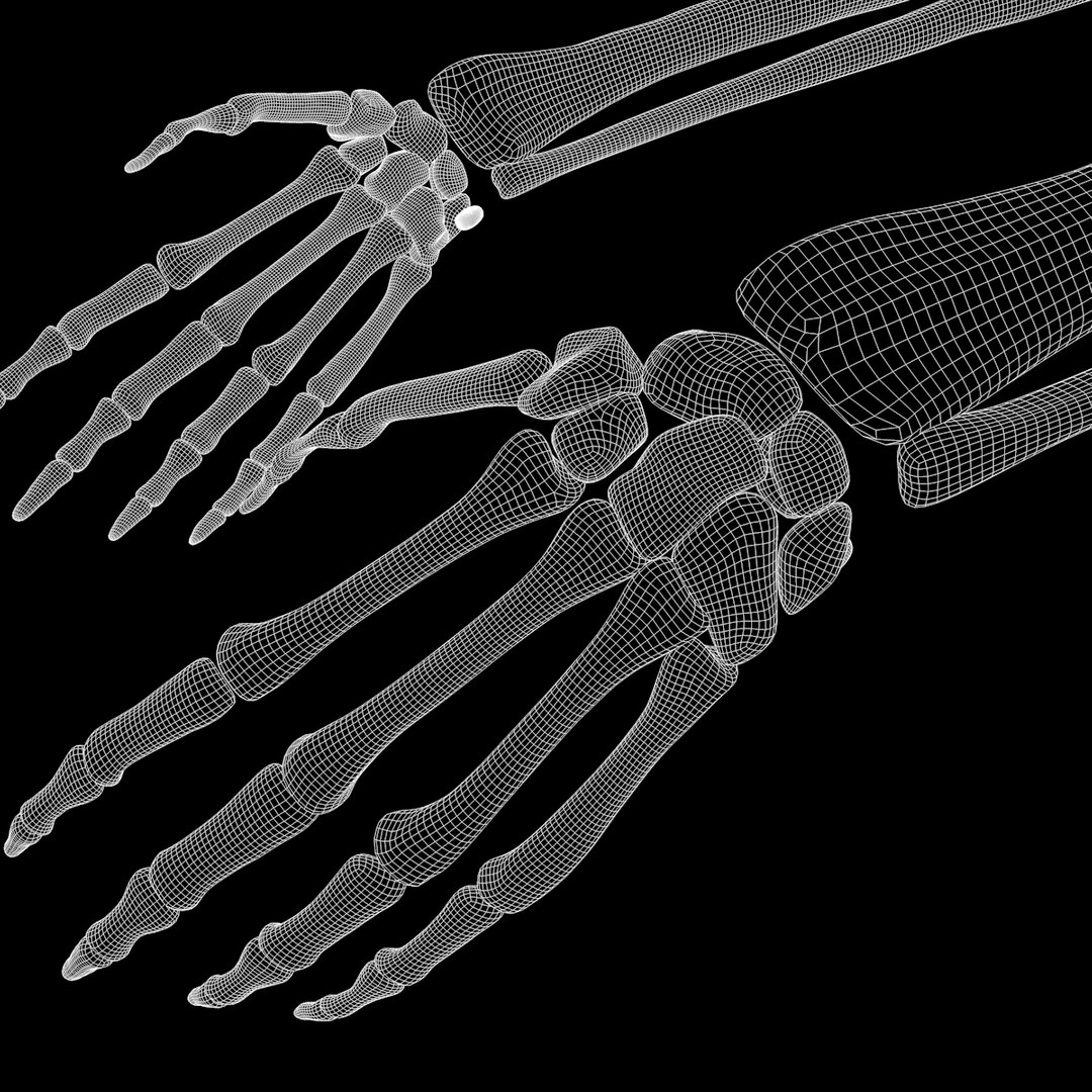 torso arm spine muscle 3D model https://p.turbosquid.com/ts-thumb/HS/Ud7K7X/7DgHbMHk/w19/png/1555504360/1920x1080/fit_q87/f90188fb9b0ba365cc0e7e0346e4dd5d3260b201/w19.jpg