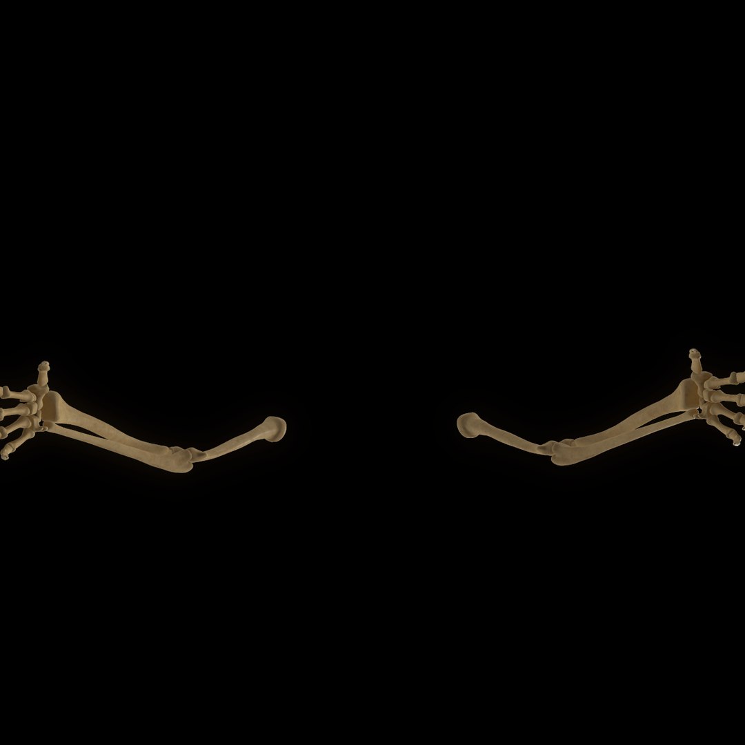 torso arm spine muscle 3D model https://p.turbosquid.com/ts-thumb/HS/Ud7K7X/F6kuY7Wt/53/png/1555504360/1920x1080/fit_q87/c320f09a539a7d32174b65b632d0ce49b37ff1d0/53.jpg