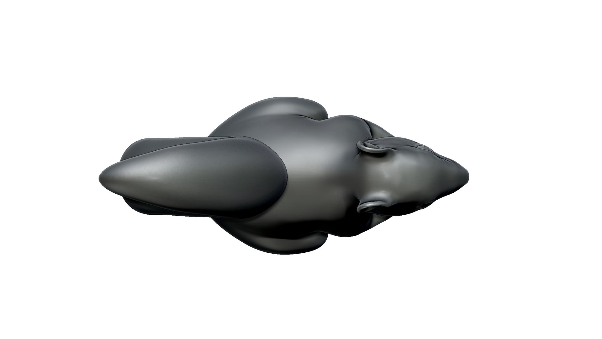 3D Squirrel https://p.turbosquid.com/ts-thumb/HS/ZGx9zB/L6/8/jpg/1725713907/1920x1080/fit_q87/37f13ee759828742d32afa896fdb23d7e4af8af5/8.jpg