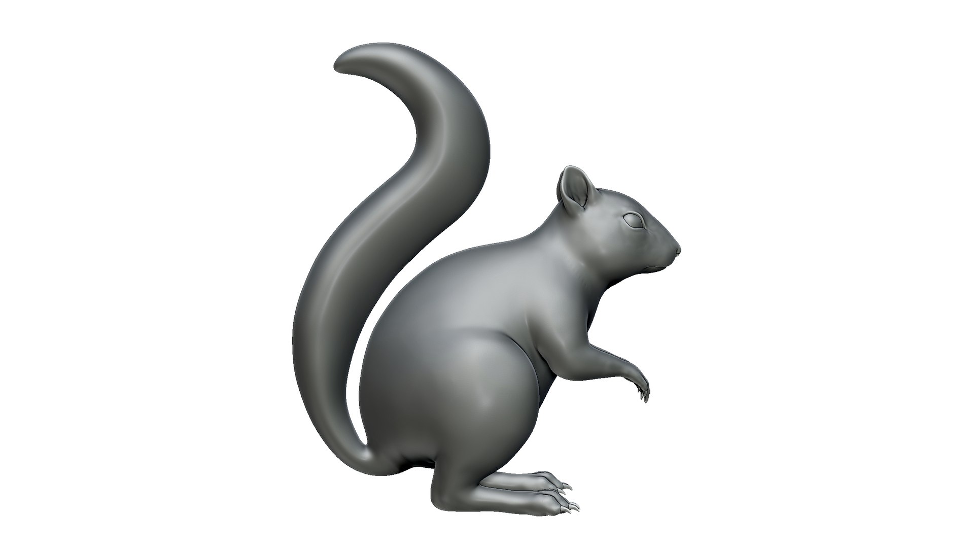 3D Squirrel https://p.turbosquid.com/ts-thumb/HS/ZGx9zB/g8/1/jpg/1725713879/1920x1080/fit_q87/2eff7f6987c1baa887e8b0f7b479c8e0744aeca4/1.jpg
