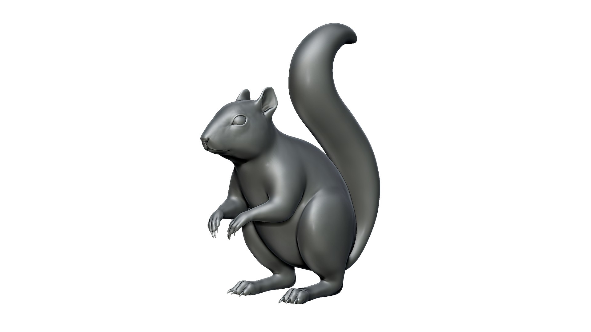 3D Squirrel https://p.turbosquid.com/ts-thumb/HS/ZGx9zB/jg/4/jpg/1725713900/1920x1080/fit_q87/e036f702e18e90bc327f4462b43ba7b292eb4b82/4.jpg