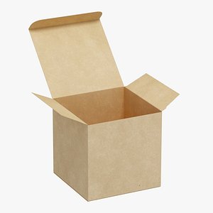 3D Open Packaging Box model