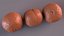 Macadamia Nuts in Shell