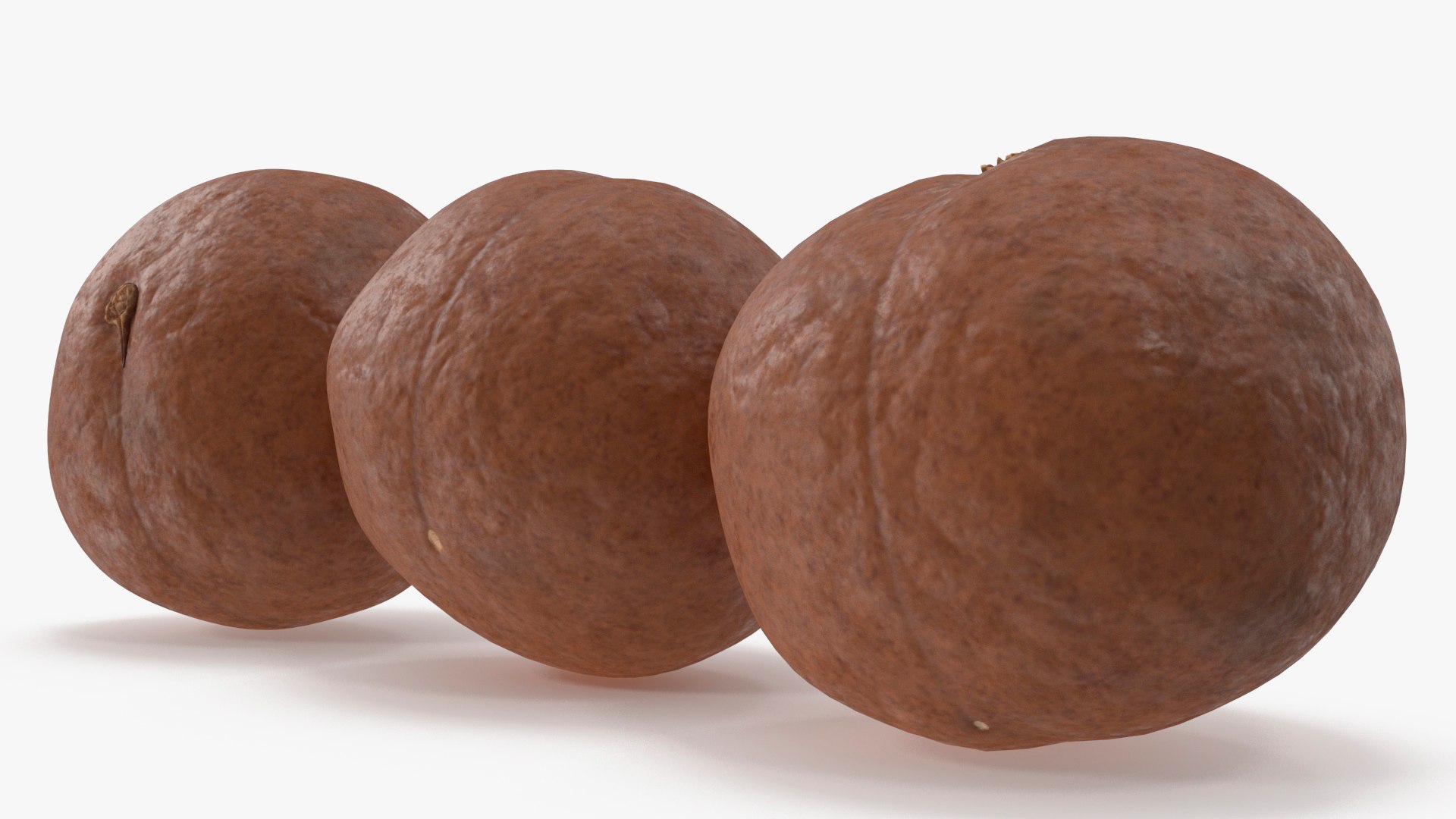 3D Macadamia Nuts In Shell Model - TurboSquid 2179922