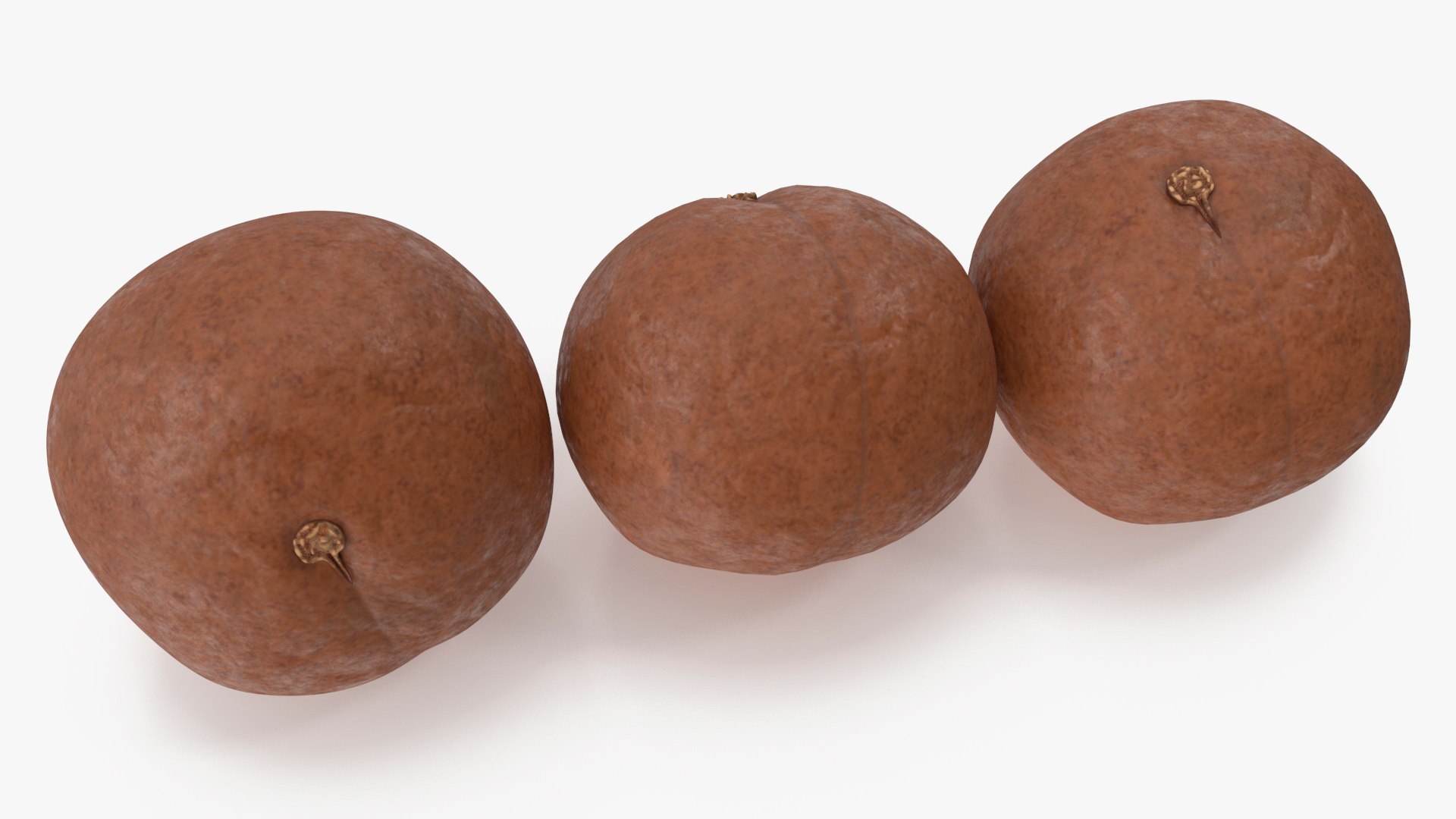 Macadamia Nuts in Shell 3D model preview