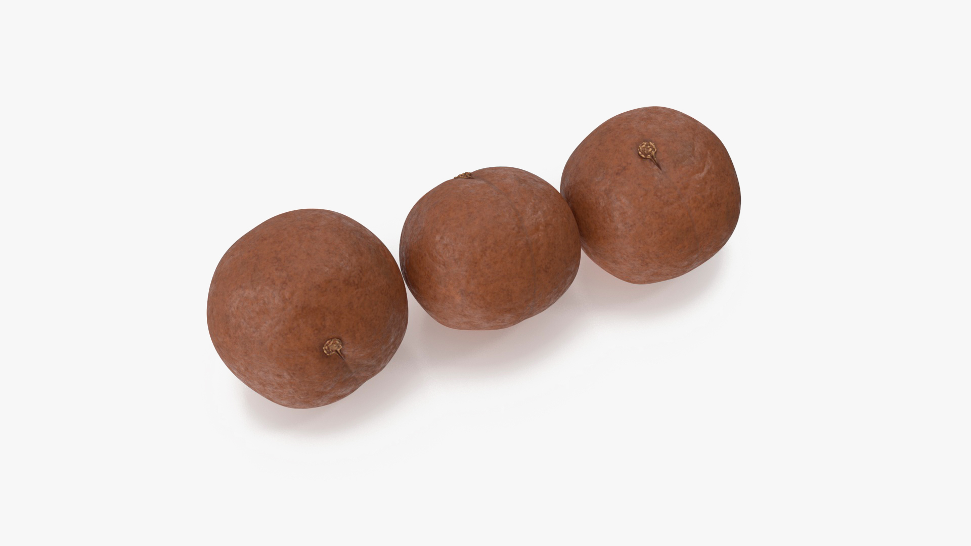 3D Macadamia Nuts in Shell model https://p.turbosquid.com/ts-thumb/HS/e0cFz3/lJ/macadamia_nuts_in_shell_360/jpg/1705838368/1920x1080/turn_fit_q99/8793c0fc863097a54520ea27eb5a278af0e14dca/macadamia_nuts_in_shell_360-1.jpg