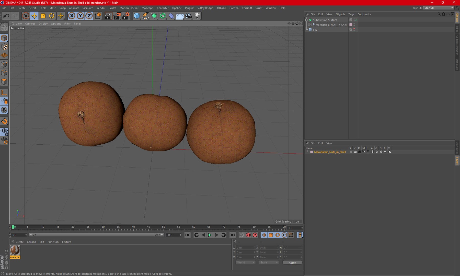 3D Macadamia Nuts In Shell Model - TurboSquid 2179922