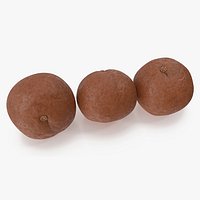 Macadamia Nuts in Shell