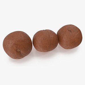Macadamia Nuts in Shell