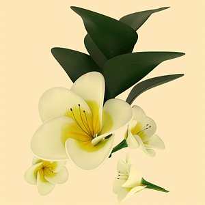 flower white 3D
