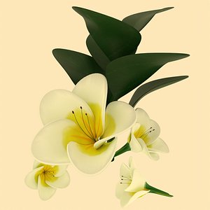 White Flowers