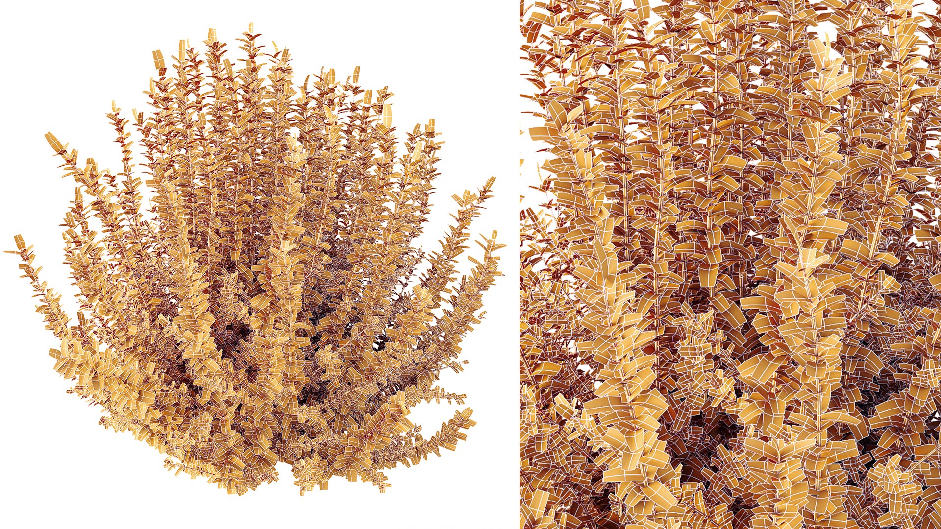 3D AV Plant Calluna Vulgaris Helena Summer Broom Heather Garden Girls04 https://p.turbosquid.com/ts-thumb/HS/rwFDMn/Pz/07/png/1753768528/1920x1080/fit_q87/884127f5dd6341a9a65553792dba480041be8960/07.jpg