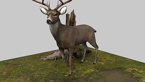 3D deer20220529 model