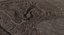 Terrain Sand and Canyon