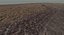 Terrain Sand and Canyon