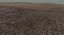 Terrain Sand and Canyon