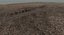 Terrain Sand and Canyon