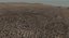 Terrain Sand and Canyon