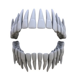 3D Teeth model