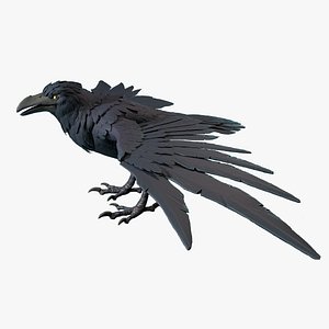 Vail Crow Anim Rig