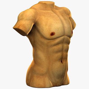 white male muscular torso max