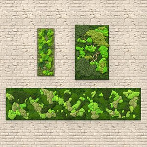 Moss Walls Collection