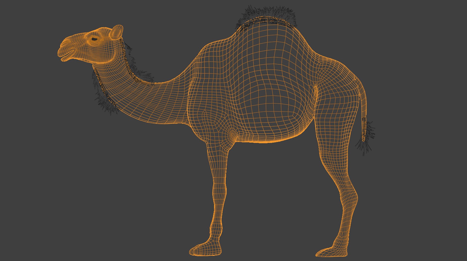 3D High-Quality 3D Camel Model model https://p.turbosquid.com/ts-thumb/HT/W0SGYh/CE/w1/png/1742771545/1920x1080/fit_q87/525c3659890cc3ce6504fc85efc22987d88bf457/w1.jpg