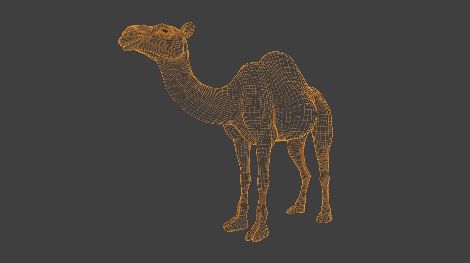 3D High-Quality 3D Camel Model model https://p.turbosquid.com/ts-thumb/HT/W0SGYh/X2/4/png/1742771124/1920x1080/fit_q87/8d4c8f4f19baa51253012f953dbe7f60e5c751f1/4.jpg