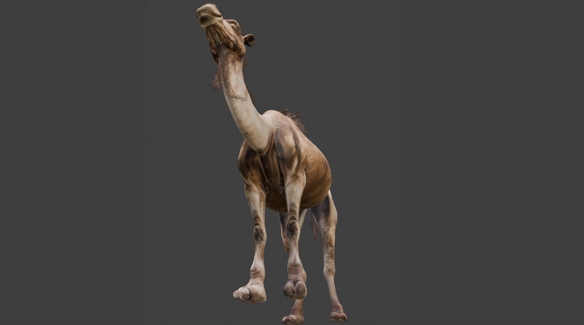 3D High-Quality 3D Camel Model model https://p.turbosquid.com/ts-thumb/HT/W0SGYh/uu/img3/png/1742771160/1920x1080/fit_q87/87a0f6ac1996048f7379fa4edbbe990e6938add5/img3.jpg