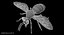 3D honey bee animation model