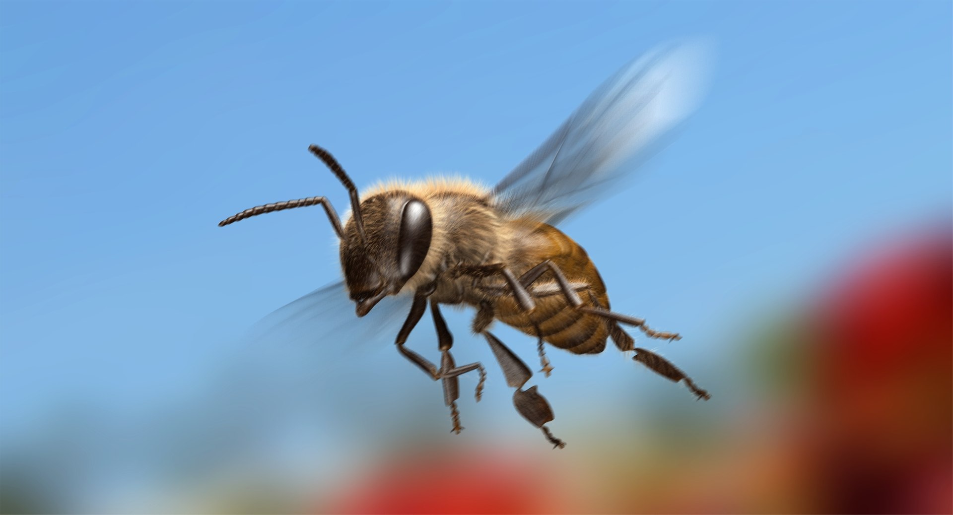 3D honey bee animation model https://p.turbosquid.com/ts-thumb/HT/YTnEQD/CIrYaHsP/ra02/jpg/1490767909/1920x1080/fit_q87/79936b0c330086286b3239b32c4932b815da39a0/ra02.jpg