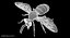 3D honey bee animation model