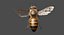 3D honey bee animation model
